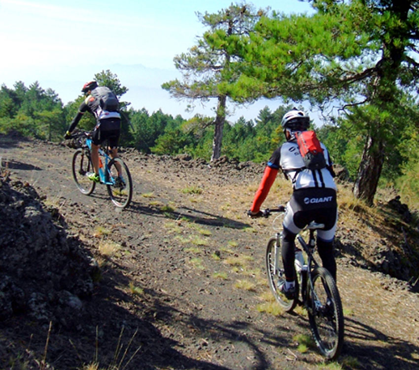 OutSide Service: Mountain Bike
